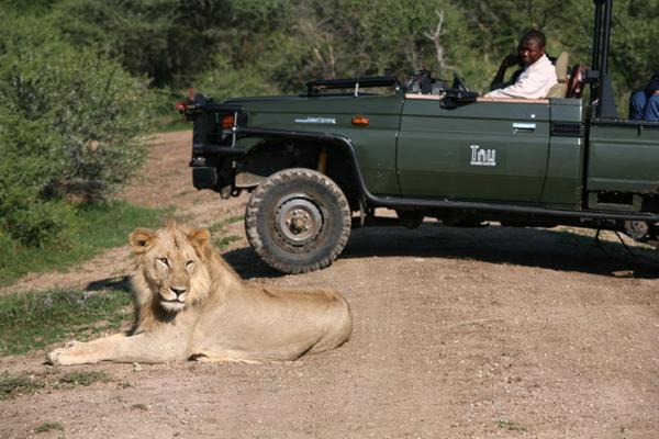 Photo of Others in Madikwe Game Reserve