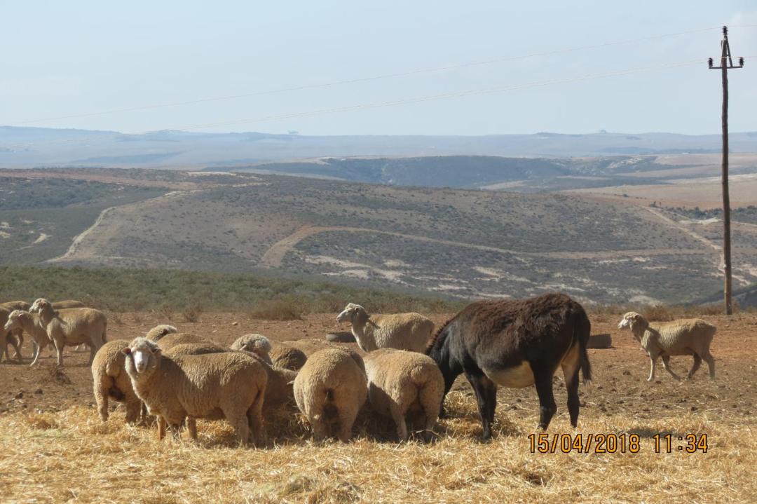 Photo of Others in Breede River Valley