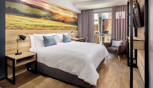 Room, 1 King Bed (View)