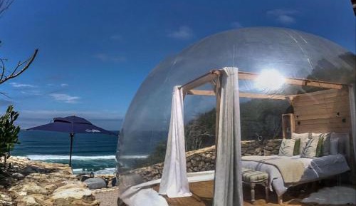 Premium Tent