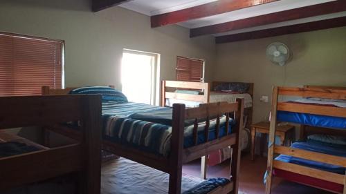Bed in 8-Bed Mixed Dormitory Room