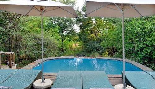 Luxury Family Villa with 2 Game Drives