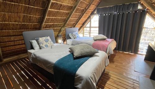 Large Double or Twin Room