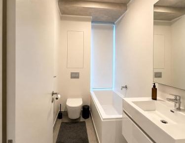 Three-Bedroom Apartment with View