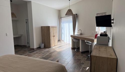 Large Double or Twin Room