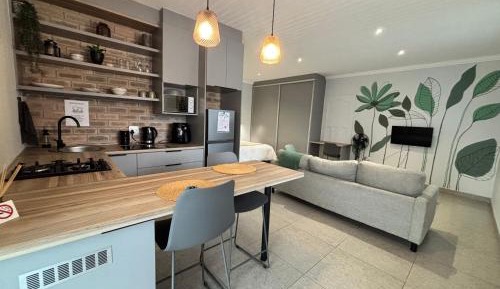 Studio Apartment