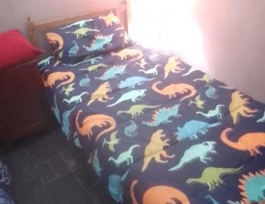 Single Bed in Mixed Dormitory Room