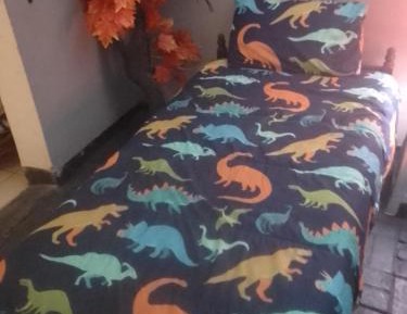 Single Bed in Mixed Dormitory Room