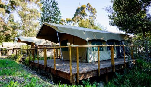 Tent
