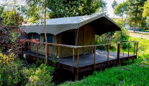 Tent