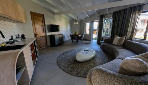 Deluxe One-Bedroom Apartment
