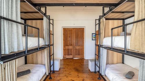 Bunk Bed in Mixed Dormitory Room