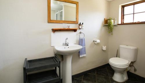 Twin/Double Room