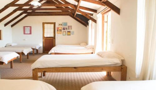 Single Bed in Dormitory Room