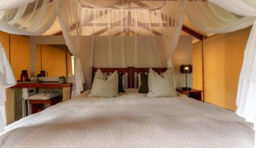 Cheetah Tree Top Tent