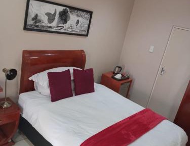 Luxury Single Room
