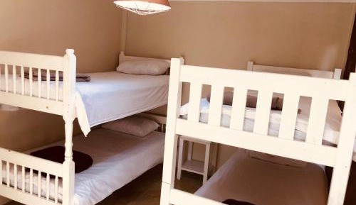 Bunk Bed in Mixed Dormitory Room