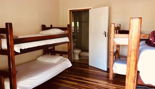 Bed in 6-Bed Dormitory Room