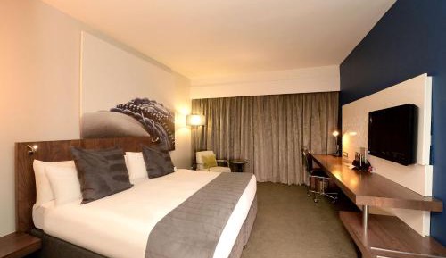 Deluxe Room 1 King Bed Non Smoking