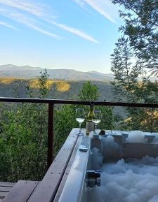 Gorgeous Olive Luxury Honeymoon Suite