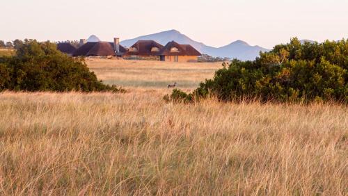 Ulubisi House Includes 2 Game Drives