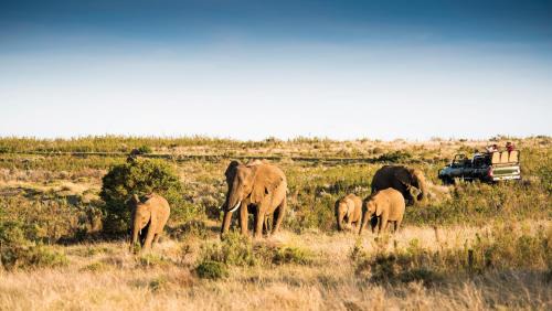 Kwena Lodge Double Includes 2 Game Drives