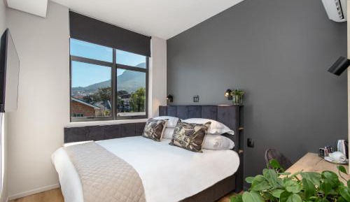 Economy  Room with Mountain View