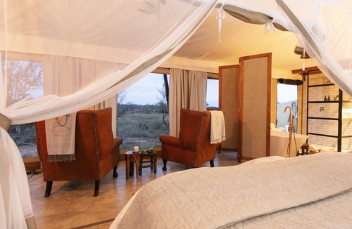Thorny Bush Game Reserve Other | Thabamati Luxury Tented Camp