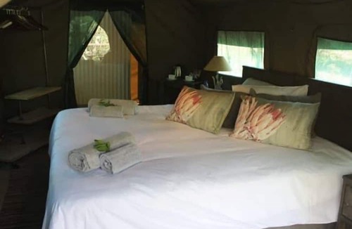 Thorny Bush Game Reserve Other | Camp Bethel