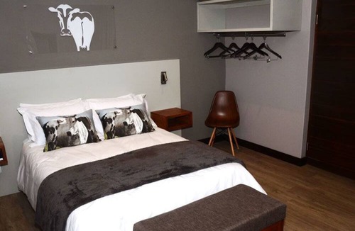 Langenhoven Park House | Tsessebe Guesthouse