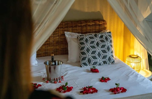 Hoedspruit Bed & Breakfast | Bushbaby River Lodge