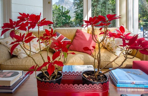 Rosebank House | Brooklands House