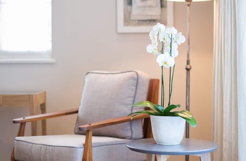 Franschhoek Hotel | Leeu House