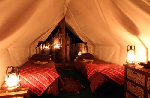 Paterson Cabin | Quatermain's 1920's Safari Camp - Amakhala Game Reserve
