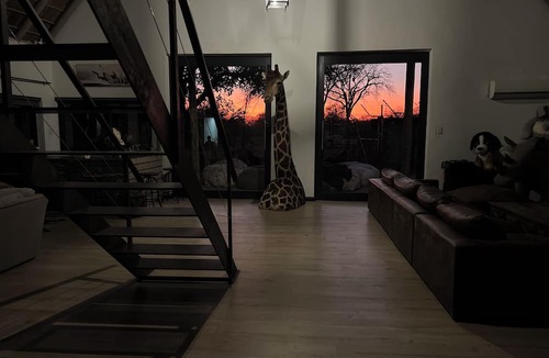 Lephalale House | Simba Safaris African Pride