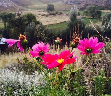 Rhodes Ski Chalet | Swallows Nest Self Catering Chalet