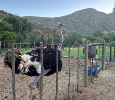 Schoemanshoek Cabin | De Oude Meul Country Lodge & Restaurant