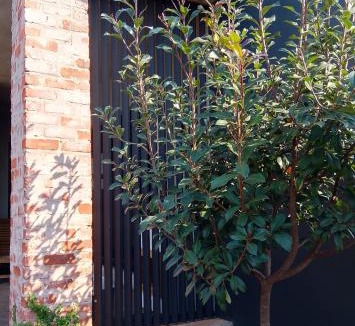 Thohoyandou House | the Host at Bingos House Self Catering