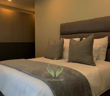 Bloemfontein Apartment | Efflorescentvilla