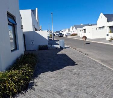 Yzerfontein Apartment | Elnas Home