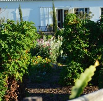 Koelenhof Apartment | The Old Dairy at Allemanskloof