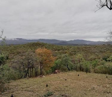 Nkowankowa Cabin | WildWood Accommodation