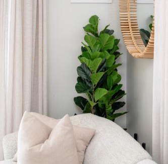 Knysna Central Apartment | Seahorse Knysna-311 Patimo Opulent Apartment
