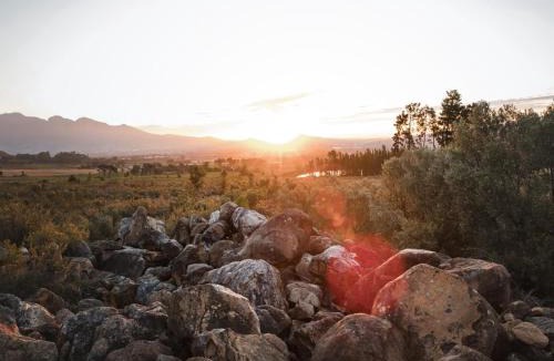 Paarl Hotel | Ronwe Mountain Lodges