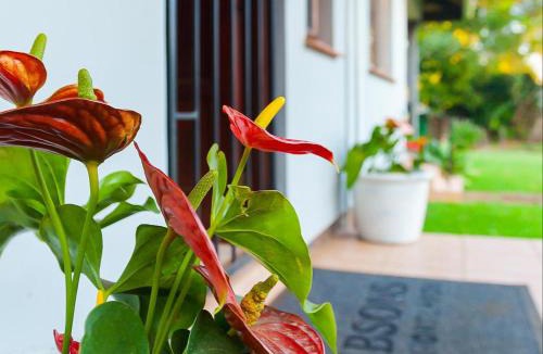 Hillcrest House | Sibsons on Shortlands