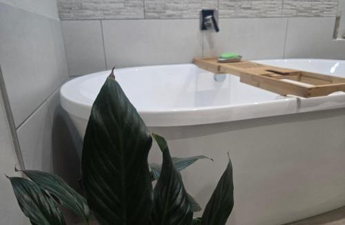 Heidelberg Bed & Breakfast | Furnished room in Heidelberg