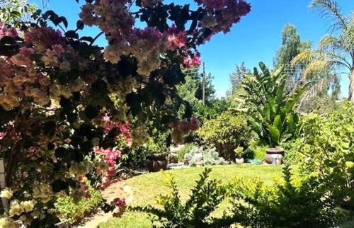 Karoo Hoogland Apartment | Garden Joy
