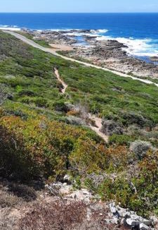 Jongensfontein Bed & Breakfast | 65 Rowweklip