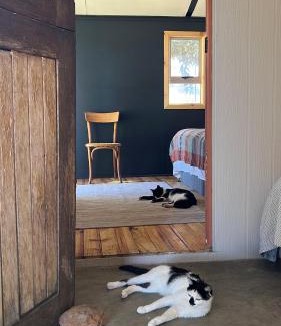 Clanwilliam House | Nama Rocklands
