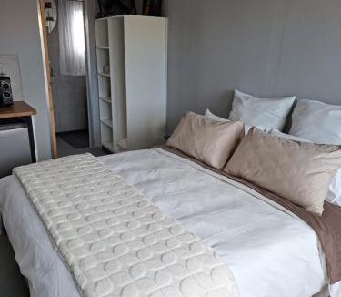 Springbok Apartment | Koeroebees 1